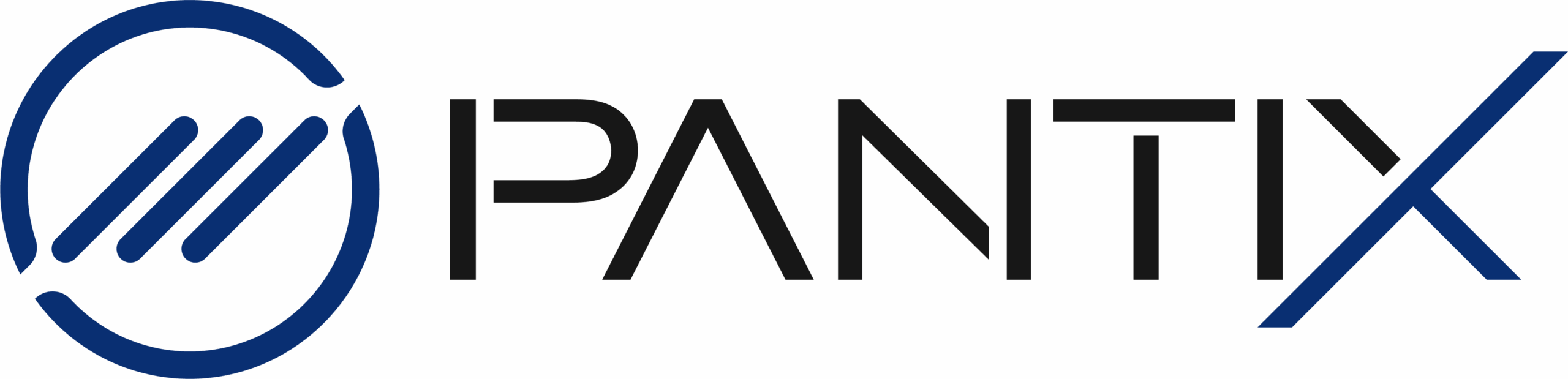 PANTIX AGENCY Offcial Logo